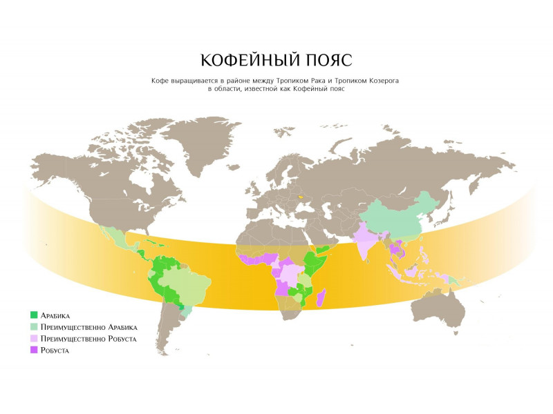 Кавовий пояс Землі