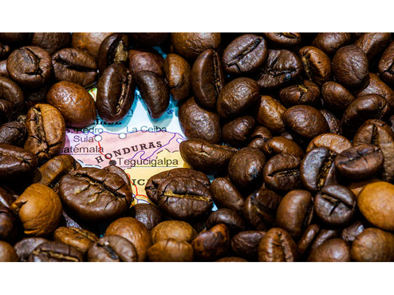 Coffee Industry: Honduras