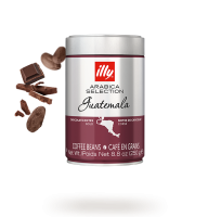 Кава в зернах illy Monoarabica Guatemala 250гр