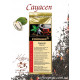 Black tea "Svit tea" soursop