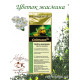 Green Tea "Tea World" Jasmine Flower