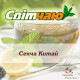 Зеленый чай "Світ чаю" Сенча Китай